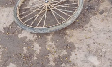 अरे शुक्ला तूने यह क्या किया,