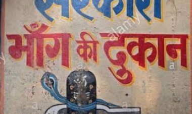 भांग की आड़ में बिक रहा गाजा, प्रशासन अनजान