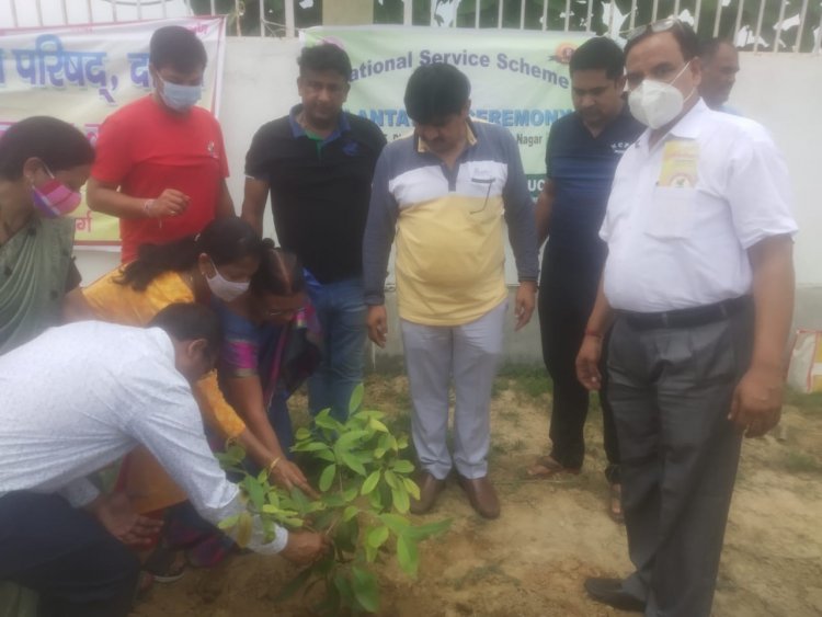 नोएडा कॉलेज ऑफ फिजिकल एजुकेशन में वृक्षारोपण अभियान