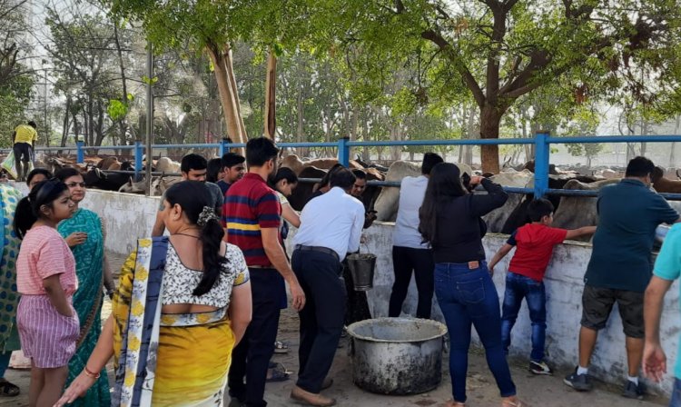 मारवाड़ी युवा मंच नोएडा की नई कार्यकारिणी ने गौ वंश की सेवा कर, किया शुभारंभ