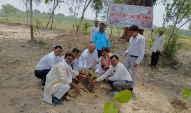 पर्यावरण सुरक्षा ही जीवन रक्षा है- ब्लाक प्रमुख राजन सिंह
