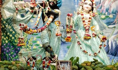 प्रभु श्रीकृष्ण और राधा रानी के लिए आयोजित हुआ मैंगो फेस्टिवल