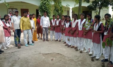 पूर्व जिला पंचायत सदस्य अनिल पाण्डेय के जन्मदिवस पर अनूठी पहल