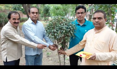 राखी बाँधकर उनकी पूरे वर्ष सुरक्षा करने के संकल्प के साथ मनाया वृक्षा बंधन