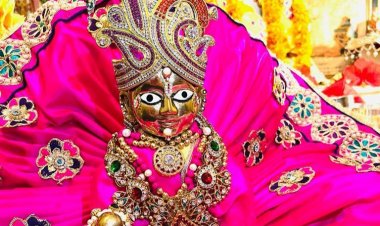 लक्ष्मी नारायण मंदिर में मनाया गया भगवान श्री कृष्ण जन्मोत्सव