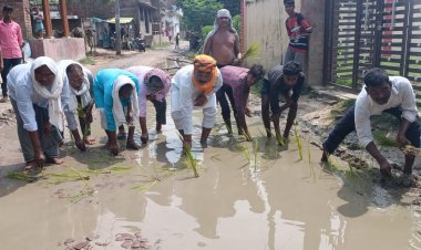 सड़क में गड्ढे मे लगे जलजमाव से गुस्साए ग्रामीणों ने कर दी धान की रोपाई