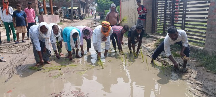 सड़क में गड्ढे मे लगे जलजमाव से गुस्साए ग्रामीणों ने कर दी धान की रोपाई
