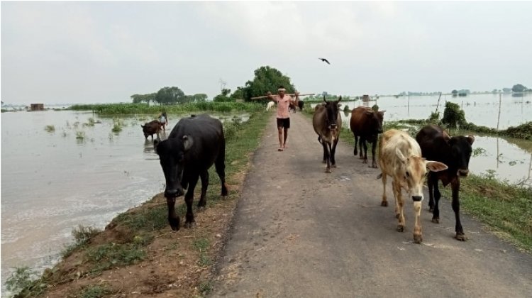 गंगा खतरे से उपर, स्थानीय लोगो की चिंता बढी