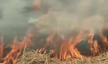खेतो मे पराली जलाने पर 32 पर नोटिस जारी