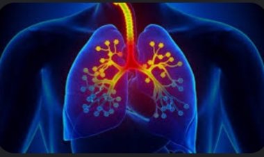 सर्दियों में, बढ़ते स्मोग और प्रदूषण के साथ, सूचित स्वास्थ्य संबंधी निर्णय सांस की बीमारी के मरीजों के लिए जीवन रक्षक हो सकते हैं