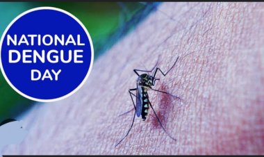 16 मई को मनाया जाएगा राष्ट्रीय डेंगू दिवस