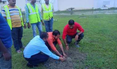 वाह एक ऐसा जन्मदिन गौ सेवा और पौधरोपण