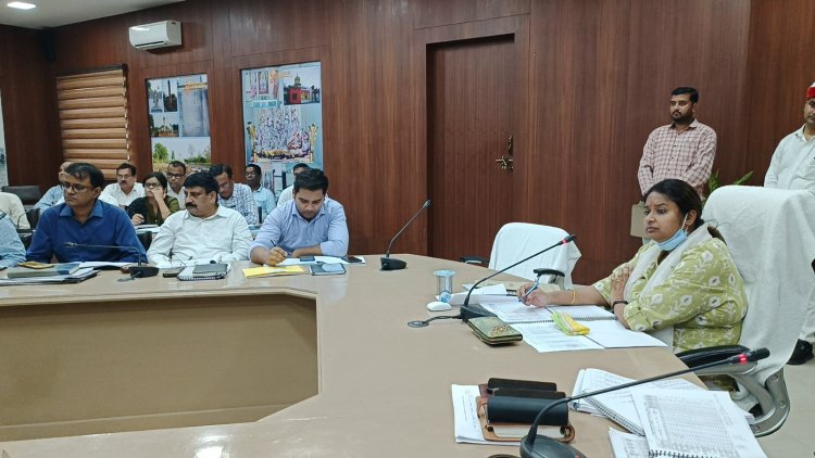 ग्राम पंचायत की जमीन और अन्य सरकारी ज़मीन पर कब्जा करने वाले होंगे चिन्हित - डीएम आर्यका अखौरी