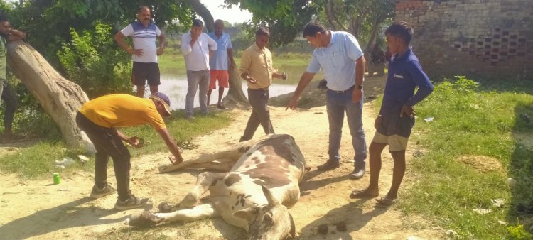 ग्रामीणों ने दिखाई इंसानियत तो बची सांड की जान