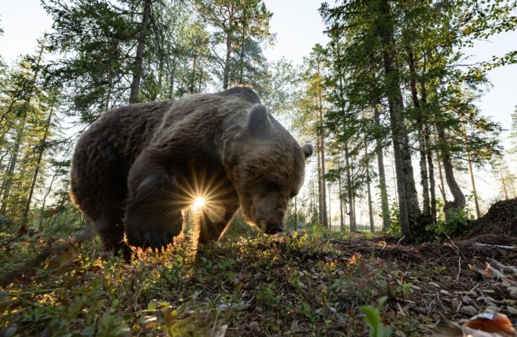 फेस्टिवल ऑफ लाइफ के साथ त्योहारी जोश बढ़ाने की तैयारी की