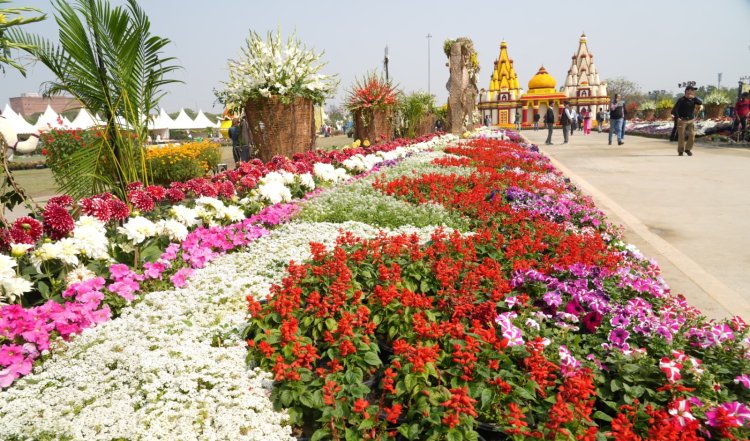 फ्री एंट्री के साथ 20 से 23 फरवरी तक चलेगा नोएडा फ्लावर शो 2025