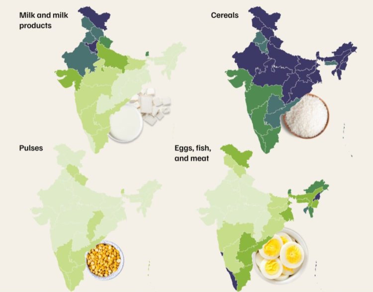 भारतीयों को प्रोटीन मिल रहा है, लेकिन गुणवत्ता कमजोर - लगभग 50% प्रोटीन अनाजों से आता है: सीईईडब्ल्यू