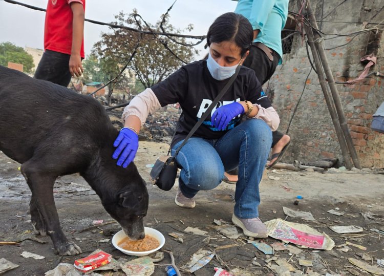 Animals Rescued from Ghaziabad Fire by PETA India